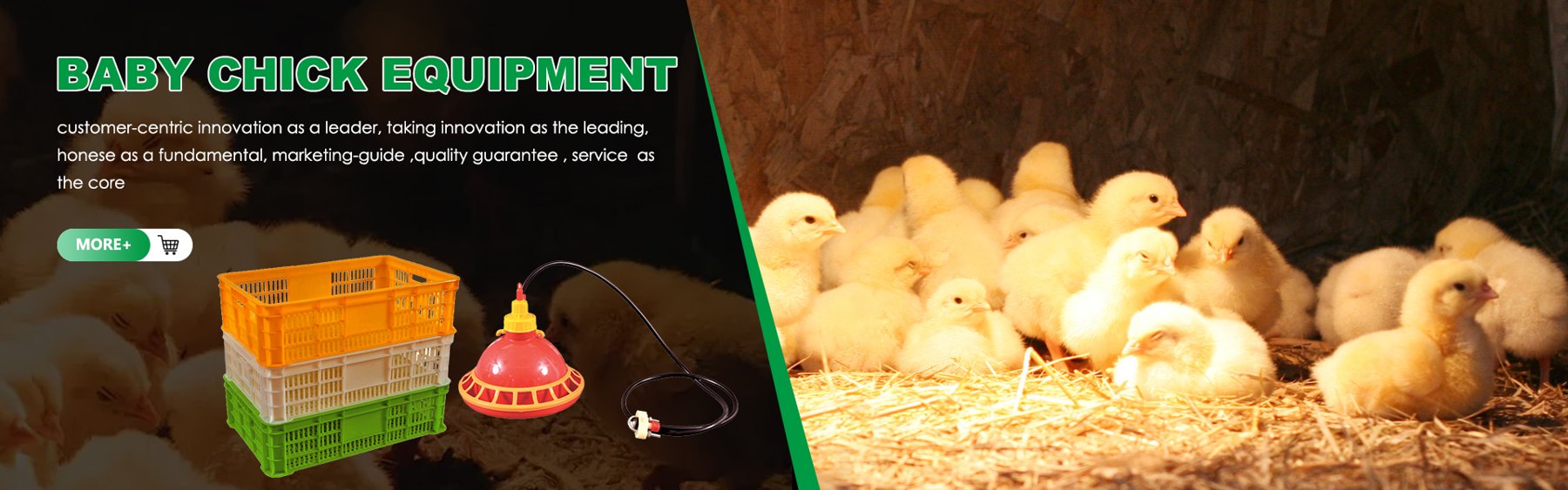 Chicken Equipment