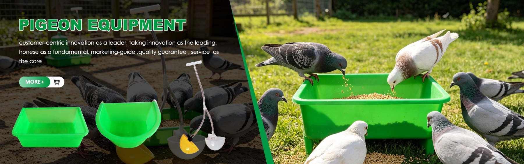 Pigeon Equipment