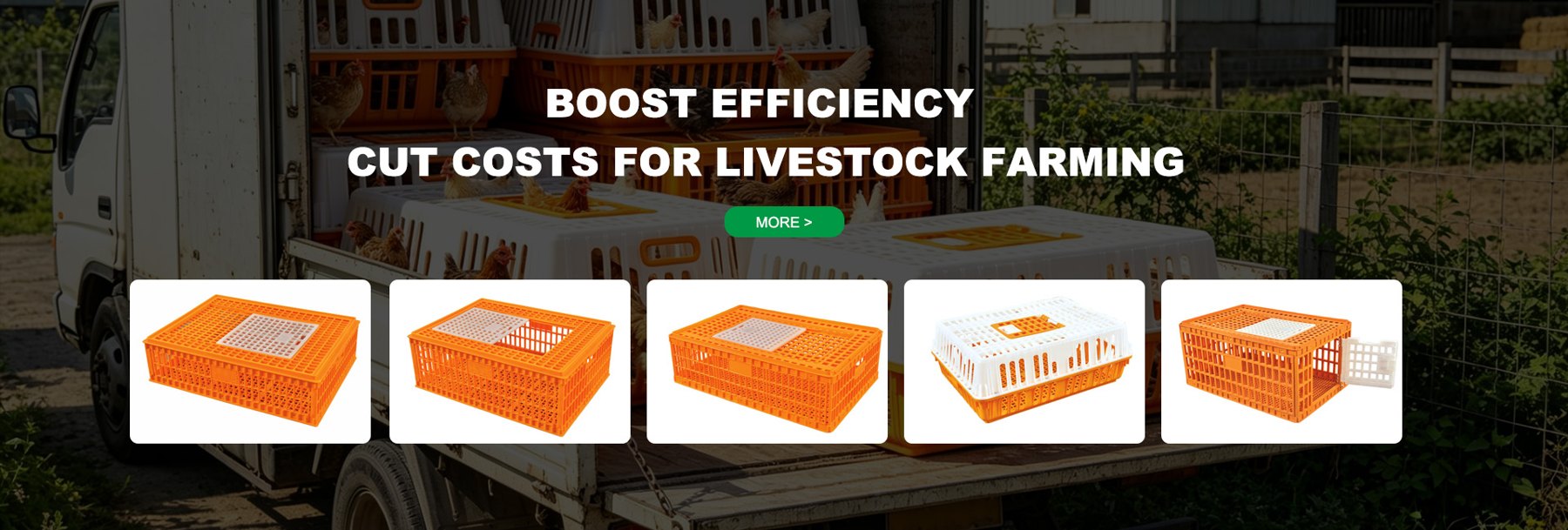 Chicken cages