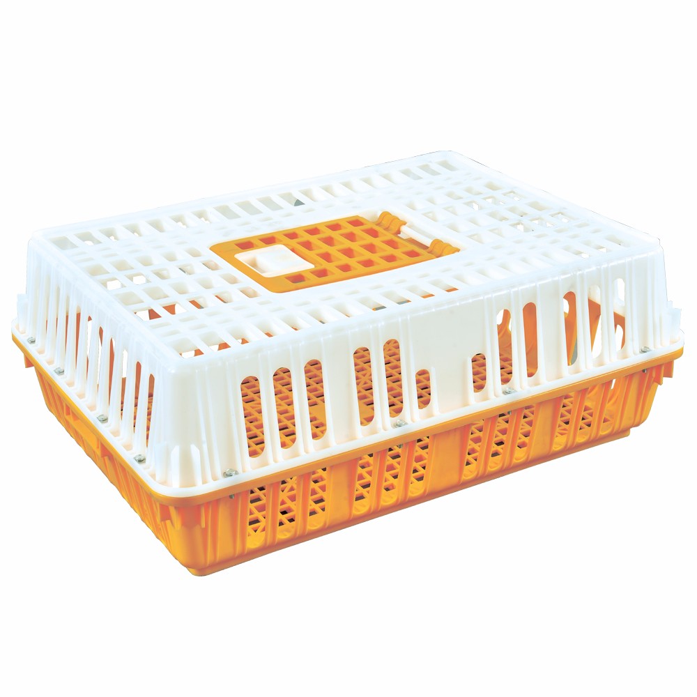 AA reinforced circulating chicken cage