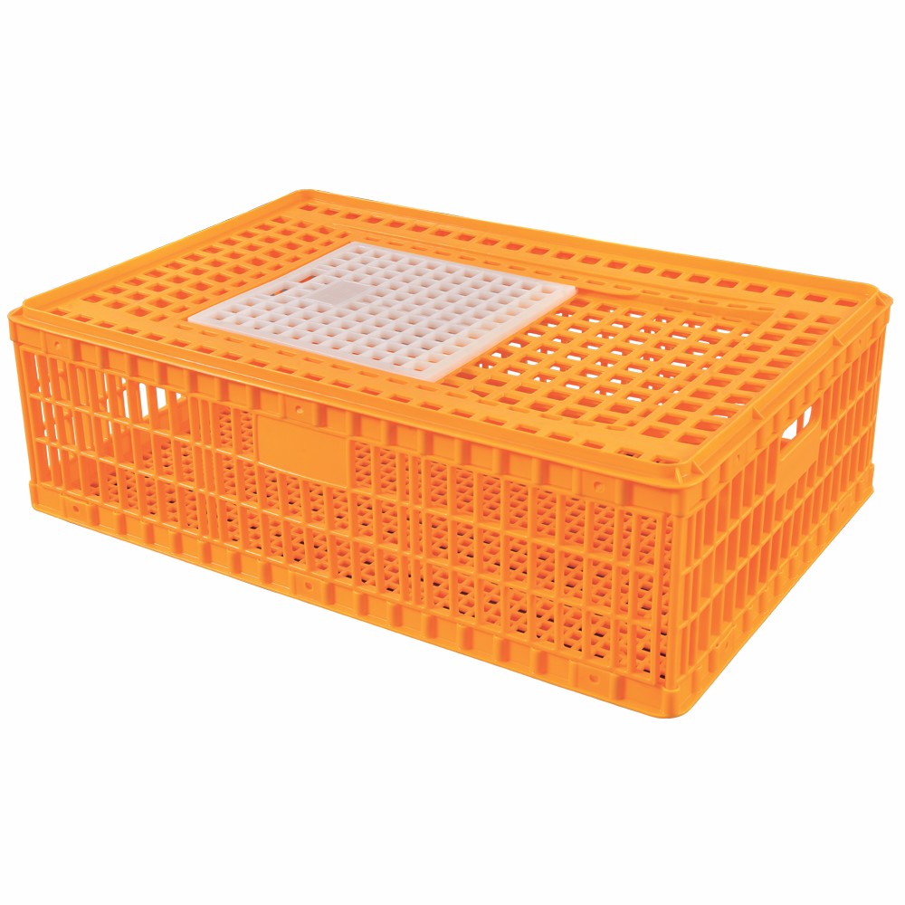 Poultry( chicken、Duck、Goose) cage