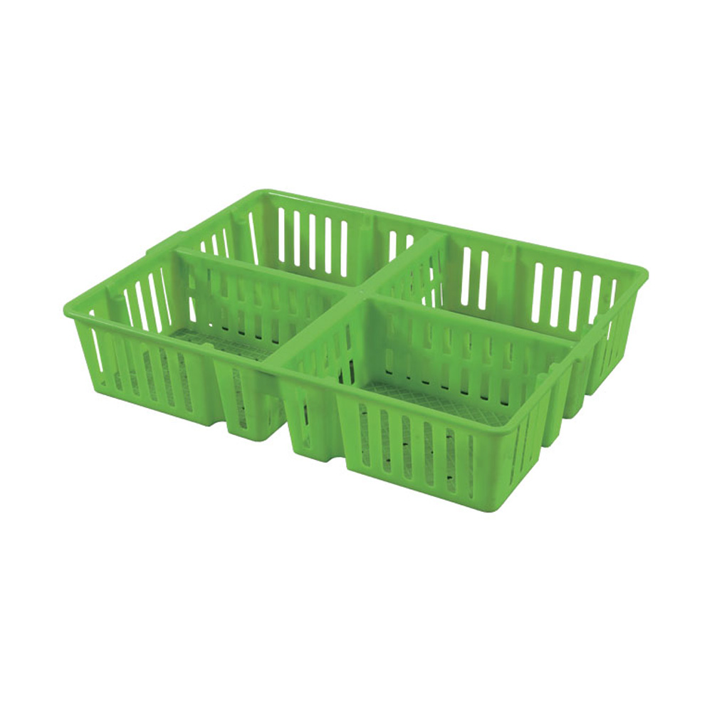 Baby chick crate(four compartments)