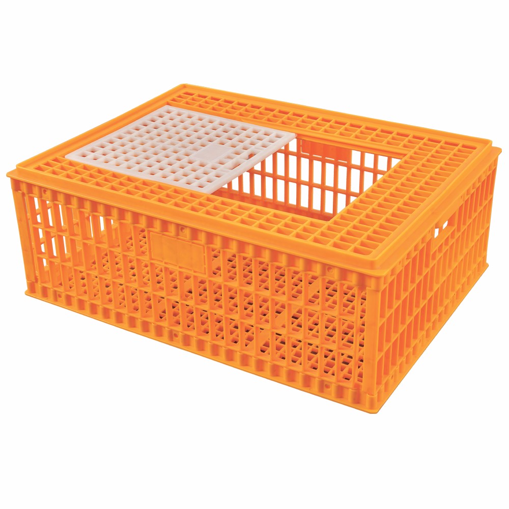 Chicken cage