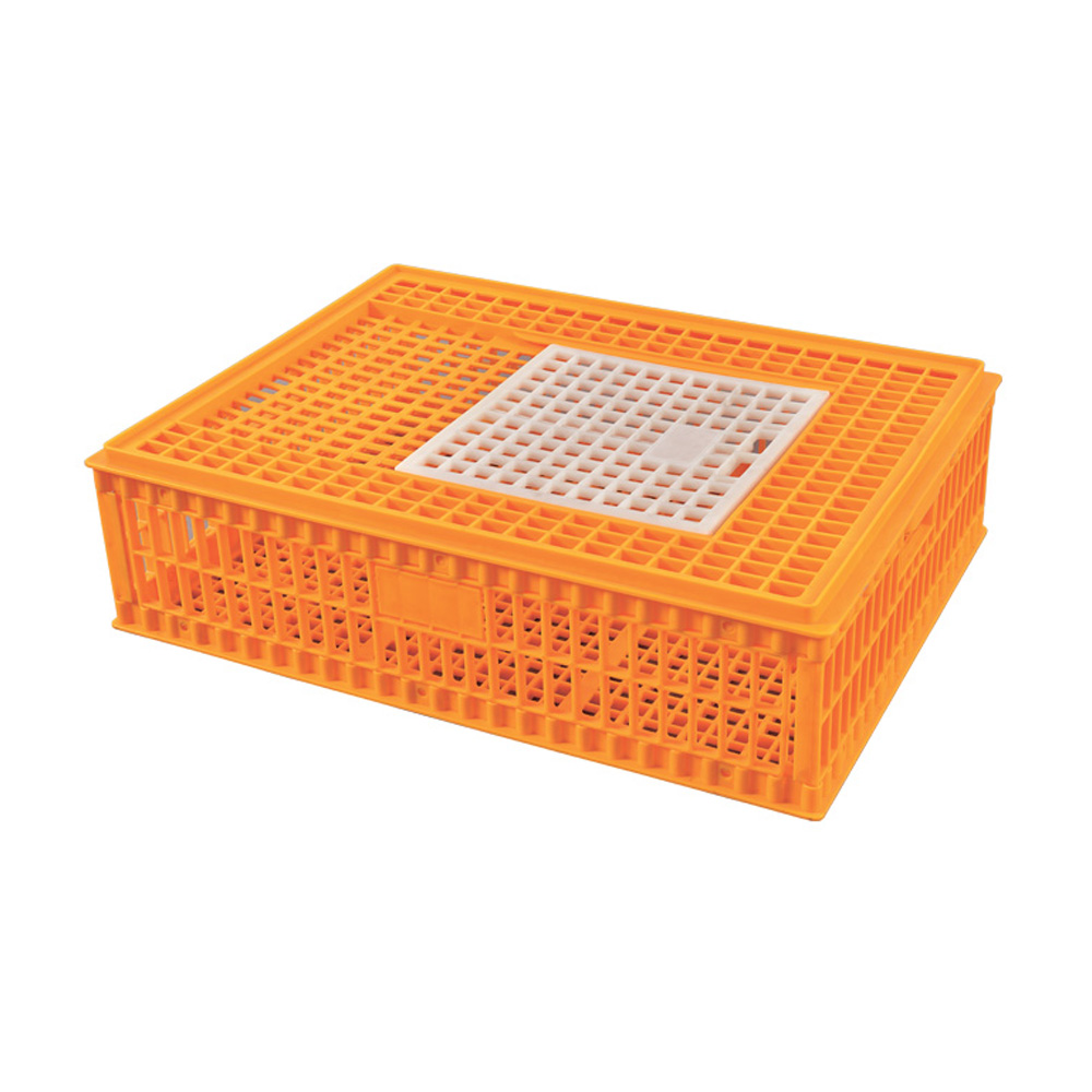 Pigeon cage