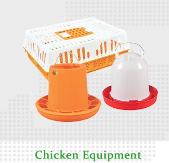 Chicken Equipments