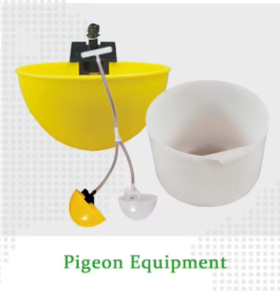 Pigeon Equipmemts
