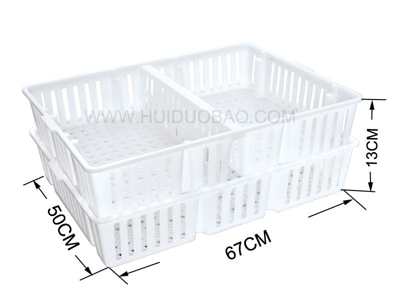 Baby chick crate (two compartments)CA10