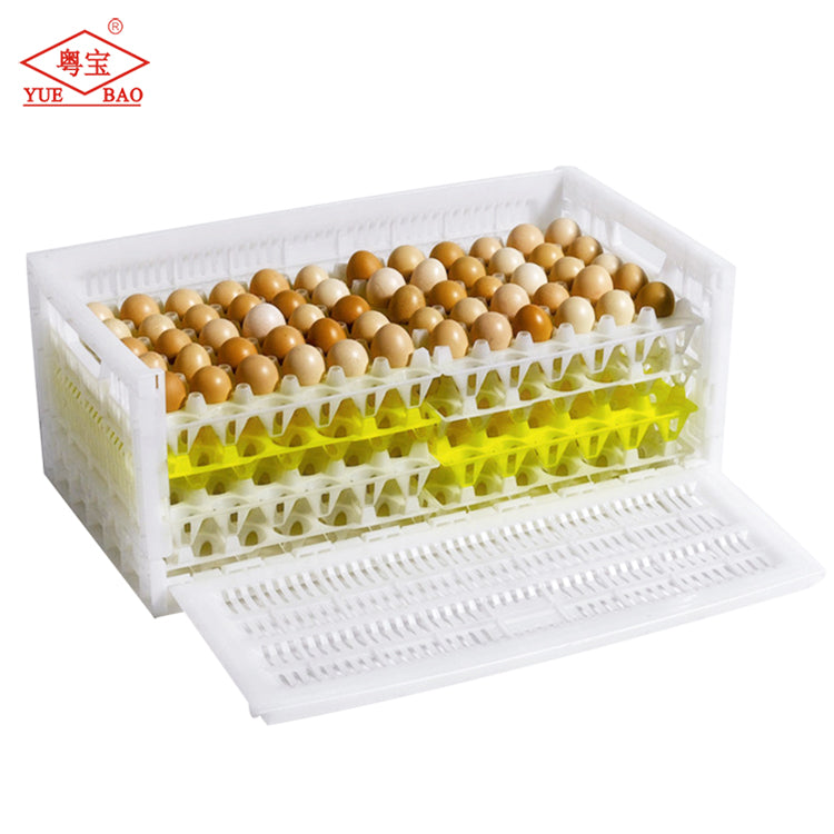 Foldable plastic crate for hatching eggs or commercial eggs CA12