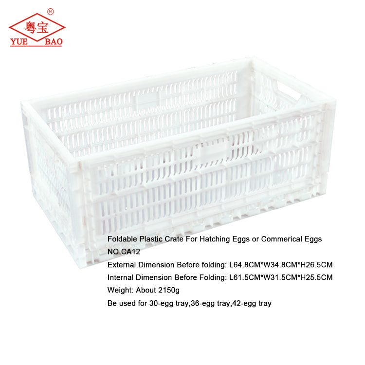 Foldable plastic crate for hatching eggs or commercial eggs CA12
